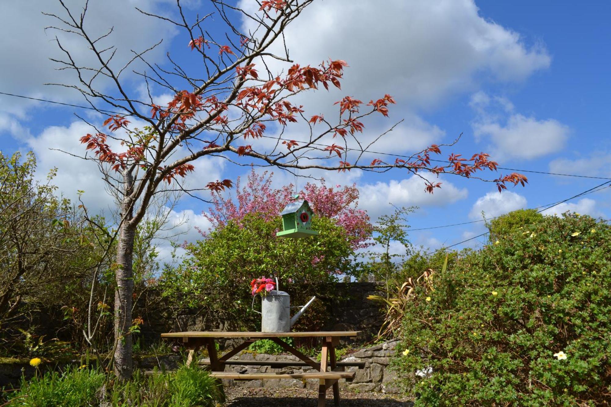 Wild Honey Inn Lisdoonvarna Εξωτερικό φωτογραφία