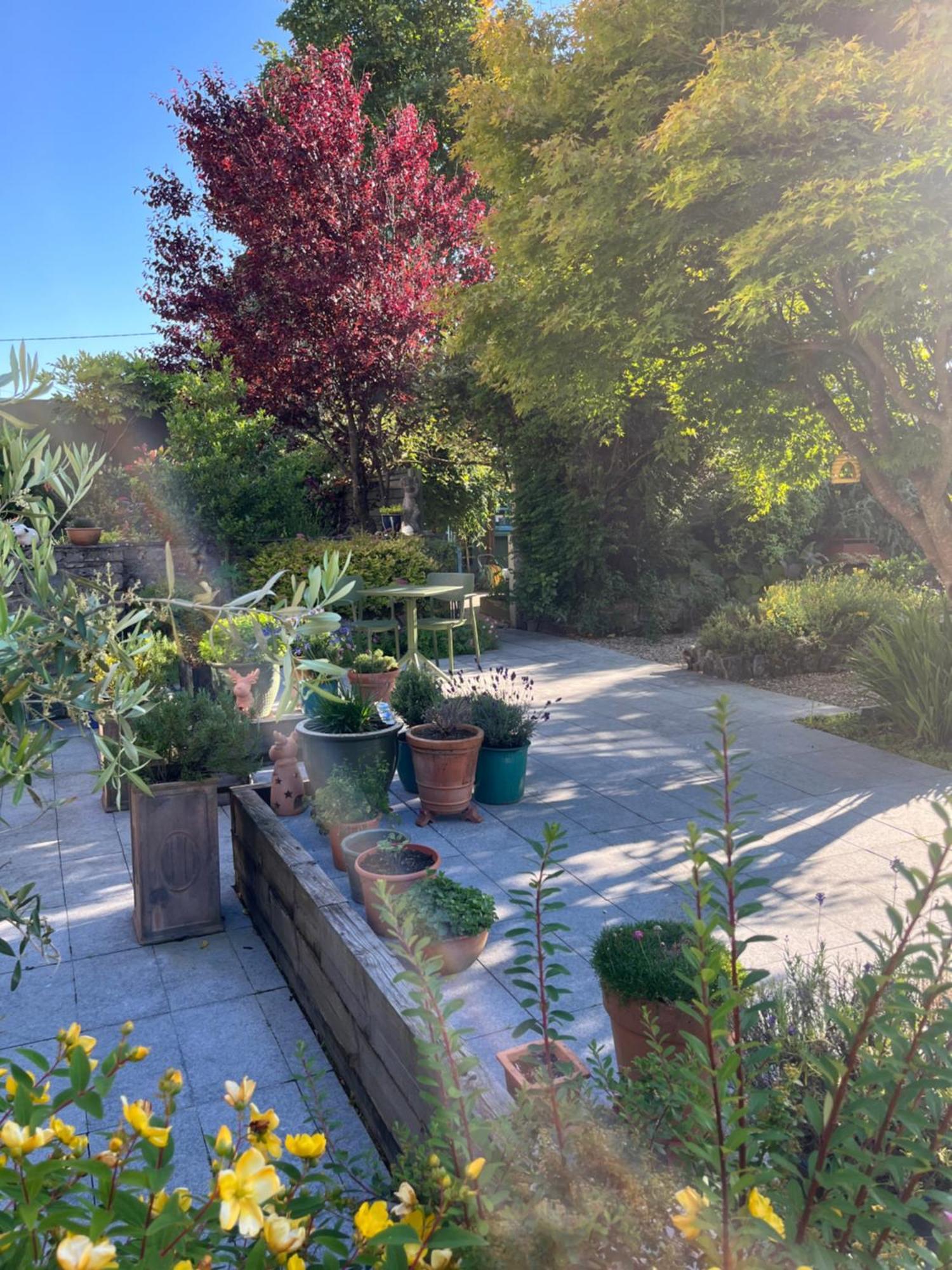 Wild Honey Inn Lisdoonvarna Εξωτερικό φωτογραφία